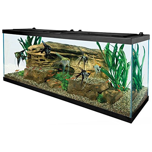 Fish tank supplies hotsell