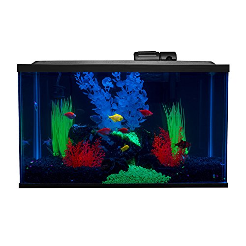 Glofish 10 Gallon Aquarium Fish Tank Kits Includes LED Lighting and D Supply AG