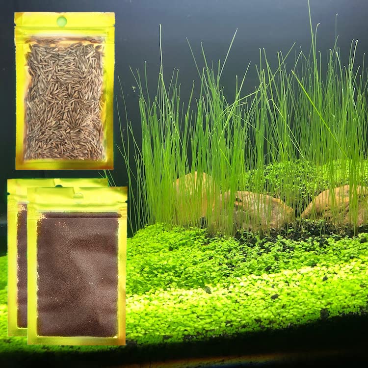 10pcs Artificial Seaweed Water Plants Plastic Aquarium Pants For Fish Tank  Decoration, Shop The Latest Trends