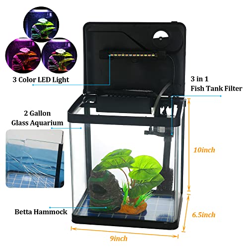 Betta fish care lighting best sale