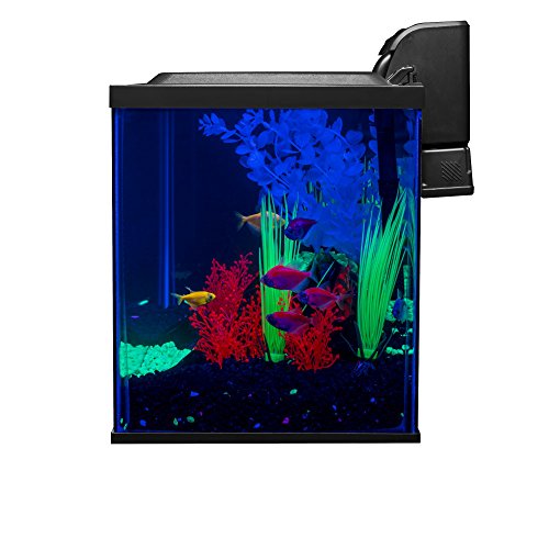 Glofish 10 Gallon Aquarium Fish Tank Kits Includes LED Lighting and D Supply AG