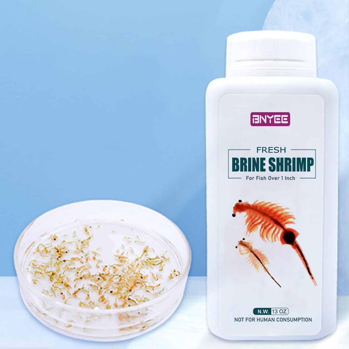 Feeding brine shrimp to fish best sale