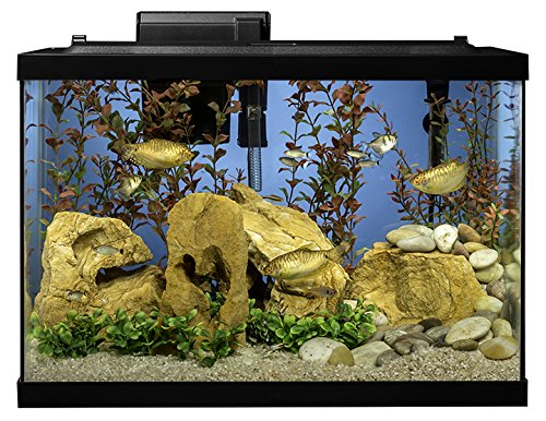 Tetra Aquarium 20 Gallon Fish Tank Kit Includes LED Lighting and Decor