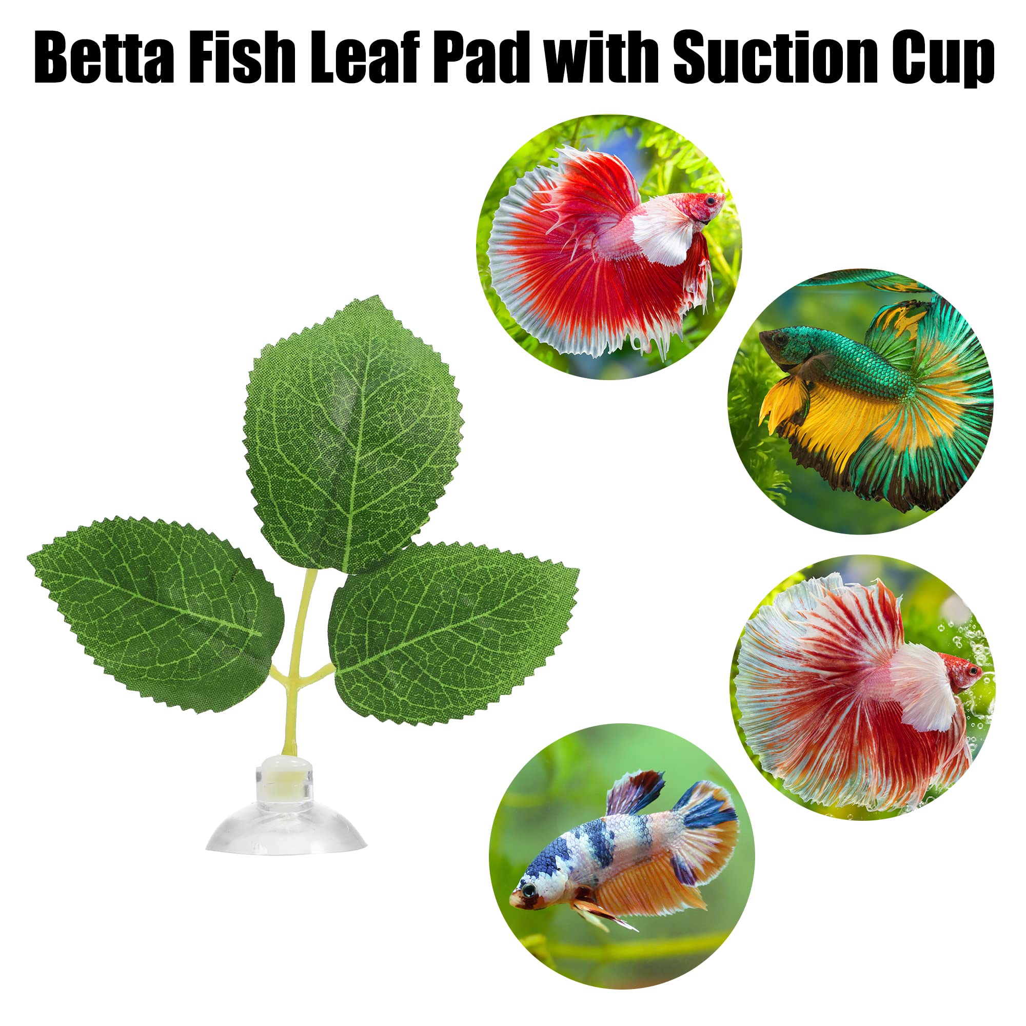 Betta fish leaf best sale